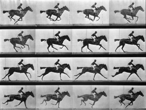 Fotogramas del galope de un caballo, experimento de Muybridge