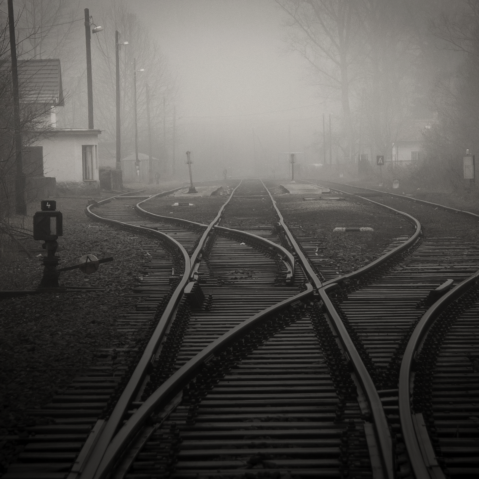 Un cruce de vías de tren en blanco y negro, envuelto en una densa niebla. Imagen principal para el artículo "Primera parada: Dijon"